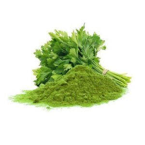 Coriander Leaves Powder